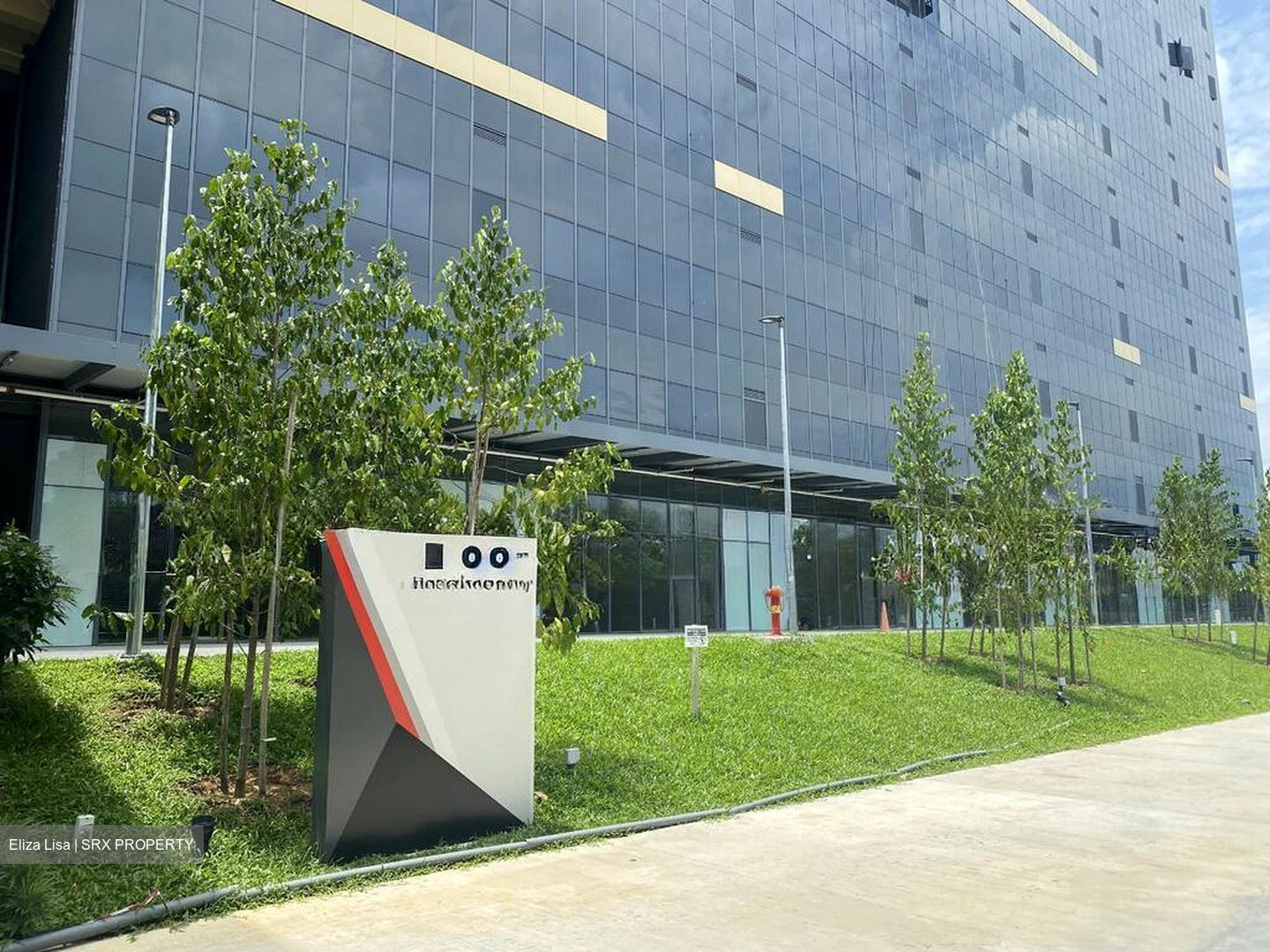 REVV (D22), Factory #521989681